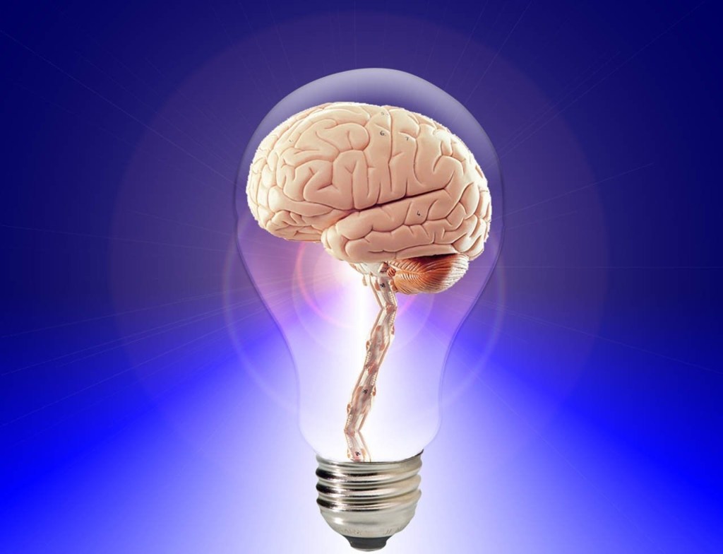 A brain in a light bulb