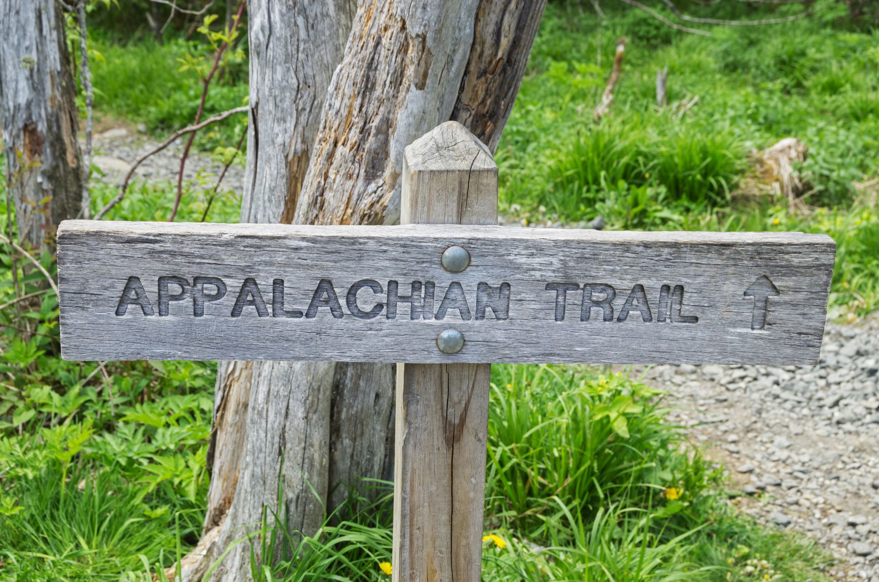Picture of signpost / trail marker with the words "Appalachian Trial". 