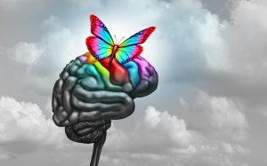 Drawing of a black-and-white brain with a rainbow butterfly landing on it making it colorful
