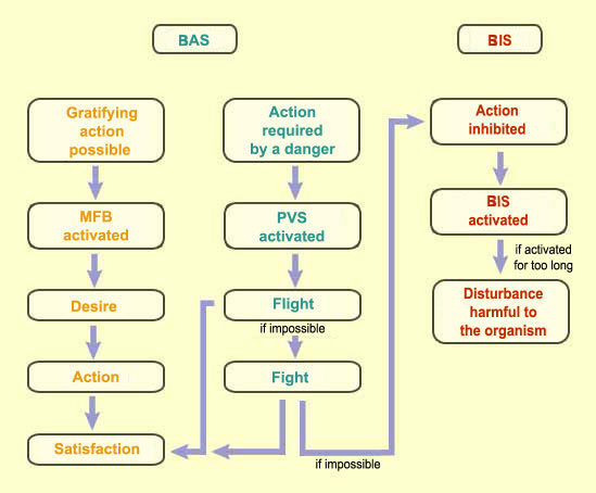 Flow chart of decision making used in activation systems