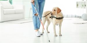 a femme presenting person with a Blind cane and seeing eye support dog stands in the middle of a room. The image is attached to an article about being blind and autistic on NeuroClastic, a nonprofit that highlights autistic perspectives on autism